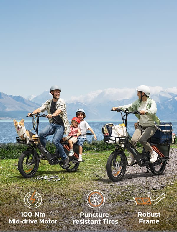 ENGWE LE20 2*19.2AH batteri, 250W motor, 25km/h hastighet, 350km räckvidd, 20*3.0 tum däck elcykel för vuxna