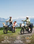 Miniatyrbild 3 av 11: ENGWE LE20 2*19.2AH batteri, 250W motor, 25km/h hastighet, 350km räckvidd, 20*3.0 tum däck elcykel för vuxna