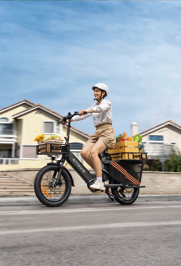 ENGWE LE20 2*19.2AH batteri, 250W motor, 25km/h hastighet, 350km räckvidd, 20*3.0 tum däck elcykel för vuxna