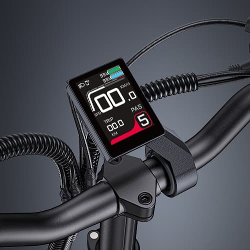 ENGWE LE20 2*19.2AH batteri, 25km/h hastighet, 250W motor, 350km räckvidd, 20*3.0 tum däck elcykel för vuxna