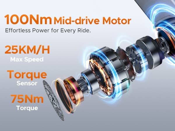 ENGWE LE20 2*19.2AH batteri, 25km/h hastighet, 250W motor, 350km räckvidd, 20*3.0 tum däck elcykel för vuxna