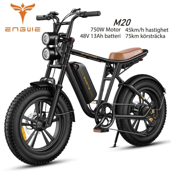 ENGWE M20 750W motor, 13AH batteri, 45km/h hastighet, 75km räckvidd, 20*4.0 tum fettdäck elcykel för vuxna
