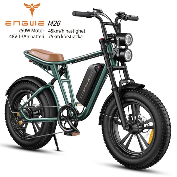 ENGWE M20 13AH batteri, 45km/h hastighet, 750W motor, 75km räckvidd, 20*4.0 tum fettdäck elcykel för vuxna Grön