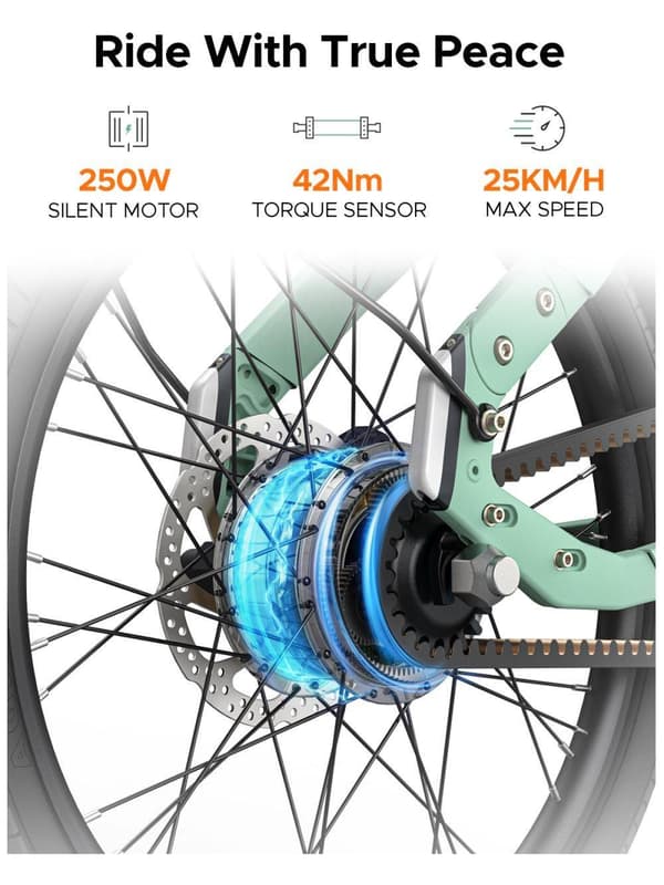 ENGWE P20 25km/h hastighet, 100km räckvidd, 9,6AH batteri, 250W motor, 20" däck, hydraulisk skivbroms, hopfällbar elektrisk