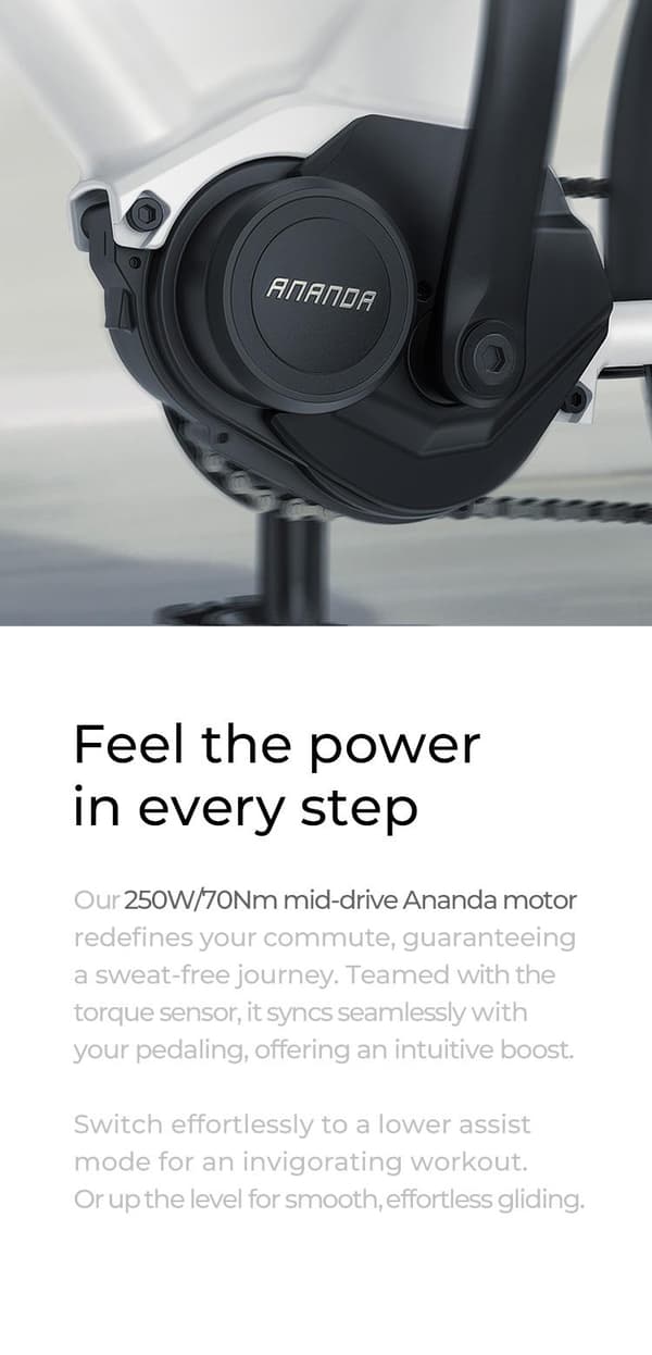 ENGWE P275 ST 19,2AH batteri, 250W motor, 25km/h hastighet, 260km räckvidd, 27,5” däck, hydraulisk skivbroms, elcykel för vuxna
