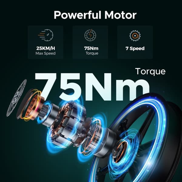 ENGWE MileZoom1 250W motor, 15,6/31,2AH batteri, 25km/h hastighet, 130/260km räckvidd, 20*4,0 tum däck, hydraulisk skivbroms elcykel för vuxna