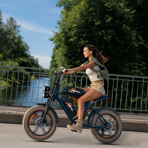ENGWE MileZoom1 250W motor, 15,6/31,2AH batteri, 25km/h hastighet, 130/260km räckvidd, 20*4,0 tum däck, hydraulisk skivbroms elcykel för vuxna