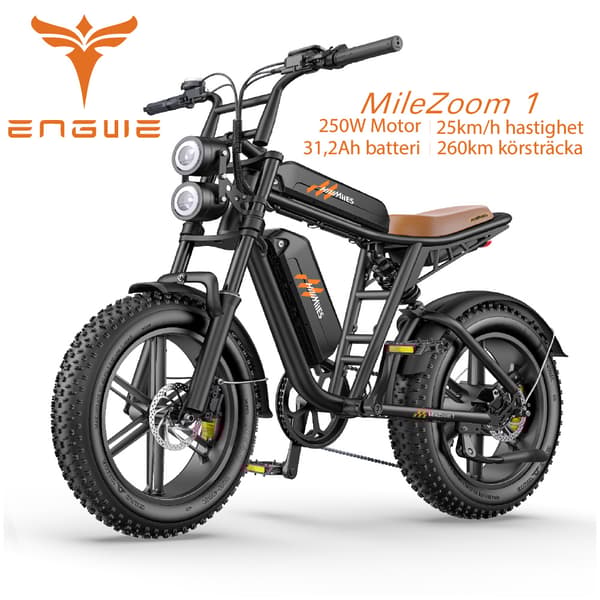 ENGWE MileZoom1 250W motor, 15,6/31,2AH batteri, 25km/h hastighet, 130/260km räckvidd, 20*4,0 tum däck, hydraulisk skivbroms elcykel för vuxna