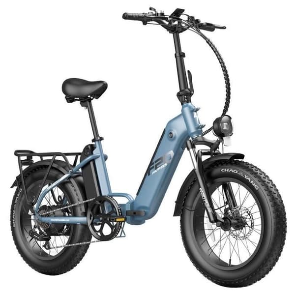 Elcykel FAFREES FF20 Polar 48V 500W Motor 25km/h Max Hastighet Dubbel 10.4Ah Batterier 20*4.0 ''Däck