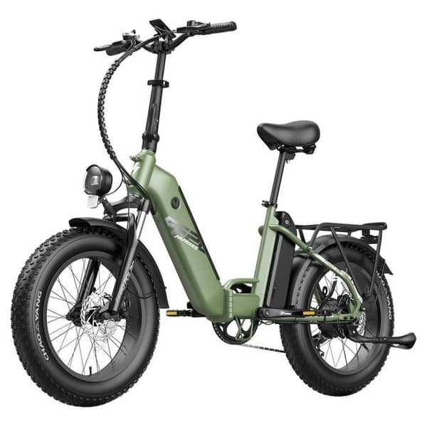 Elcykel FAFREES FF20 Polar 48V 500W Motor 25km/h Max Hastighet Dubbel 10.4Ah Batterier 20*4.0 ''Däck