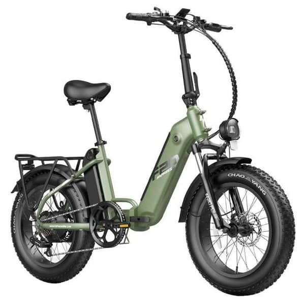 Elcykel FAFREES FF20 Polar 48V 500W Motor 25km/h Max Hastighet Dubbel 10.4Ah Batterier 20*4.0 ''Däck