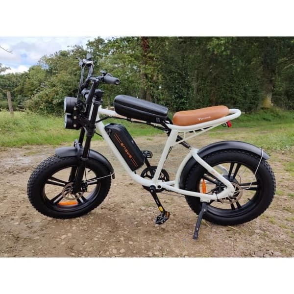 Elcykel ENGWE M20 Batteri 13AH Tjocka däck 20*4.0 Tum, Borstlös motor 750W, Max. hastighet 45km-h - vit