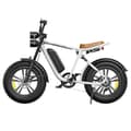 Miniatyrbild 1 av 3: Elcykel ENGWE M20 (Version med ett batteri) 20*4.0 ''Breda däck 750W Borstlös motor 48V 13Ah Batteri 75 km räckvidd