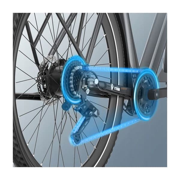 Fafrees F700W Kommunalt elfordon 500W 36V10Ah 25KM/H Skivbromsar