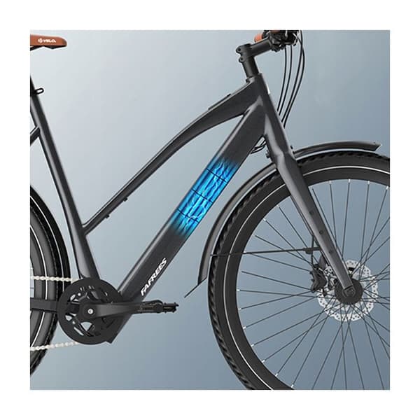 Fafrees F700W Kommunalt elfordon 500W 36V10Ah 25KM/H Skivbromsar