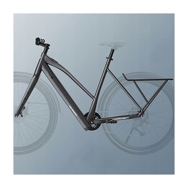 Fafrees F700W Kommunalt elfordon 500W 36V10Ah 25KM/H Skivbromsar