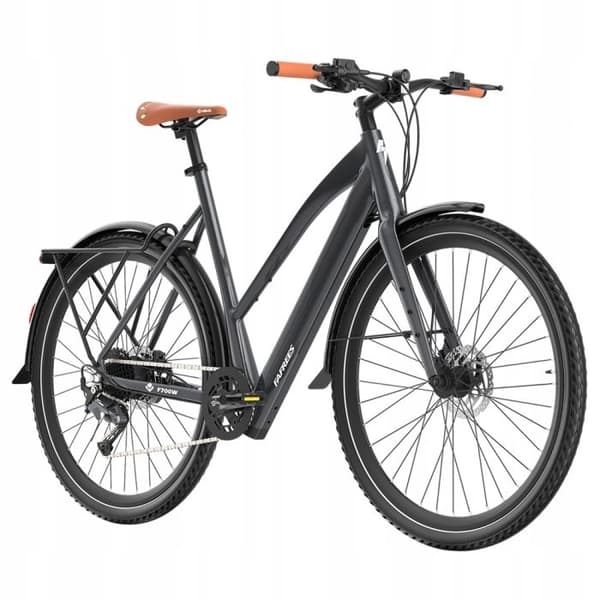 Fafrees F700W Kommunalt elfordon 500W 36V10Ah 25KM/H Skivbromsar