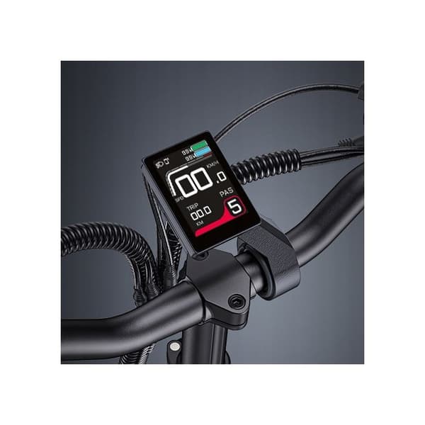 ENGWE LE20 Elcykel för vuxna med dubbel motor 250W 38.4AH 20"