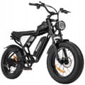 Miniatyrbild 2 av 4: Ridstar Q20 Elcykel - 1000W - Avtagbart batteri 48V-15Ah - 7 Växlar SHIMANO - 20’’ Hjul Stora Däck
