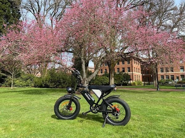 VTT Elcykel Ridstar Q20 motor 1000W (toppeffekt 1500W) 48V20AH 60-80km 50km/h Shimano 7 växlar terrängdäck 20"*4.0 Svart