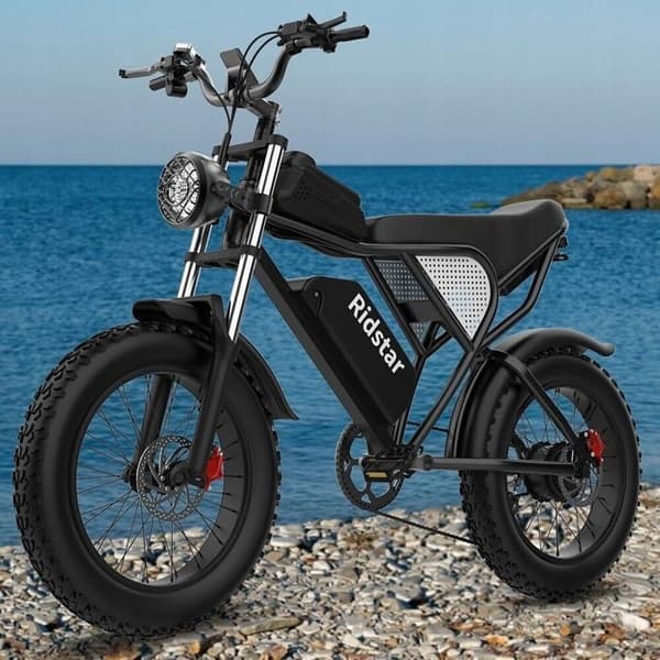 VTT Elcykel Ridstar Q20 motor 1000W (toppeffekt 1500W) 48V20AH 60-80km 50km/h Shimano 7 växlar terrängdäck 20"*4.0 Svart