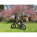 Miniatyrbild 6 av 6: VTT Elcykel Ridstar Q20 motor 1000W (toppeffekt 1500W) 48V20AH 60-80km 50km/h Shimano 7 växlar terrängdäck 20"*4.0 Svart