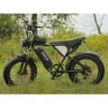 Miniatyrbild 4 av 6: VTT Elcykel Ridstar Q20MIN 1000W 48V15Ah PAS-läge 80KM 20" 7 växlar Svart E-cykel Stad Snö Universitet Student