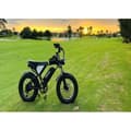 Miniatyrbild 6 av 6: VTT Elcykel Ridstar Q20MIN 1000W 48V15Ah PAS-läge 80KM 20" 7 växlar Svart E-cykel Stad Snö Universitet Student