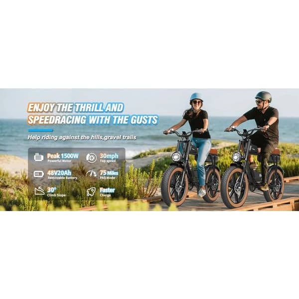 Elcykel RIDSTAR CR20 Motor 1500W - batteri 48V 20Ah - Max hastighet 45 km/h - Räckvidd 70 km - med däck 20"*4.0