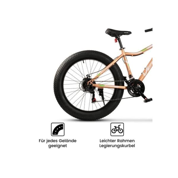 26-tums Fat Tire 4.0 MTB 21 växlar Shimano växelsystem, mekaniska skivbromsar, Fat Bike mountainbike