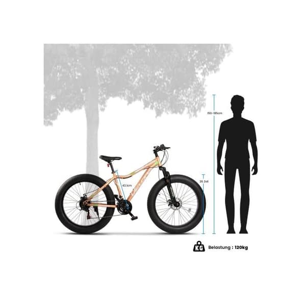 26-tums Fat Tire 4.0 MTB 21 växlar Shimano växelsystem, mekaniska skivbromsar, Fat Bike mountainbike