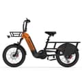 Pikkukuva 1 / 10: Sähköinen tavarapyörä LANKELEISI Wombat-1, 48V 1000W 20Ah, pitkä kantama matkakäyttöön