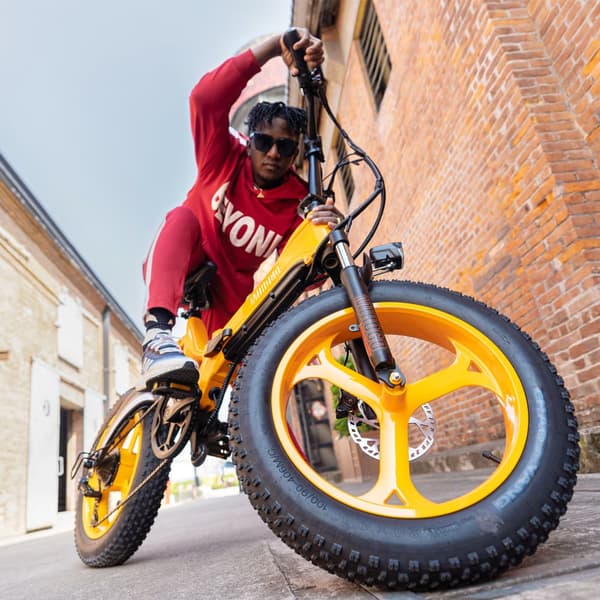 MIHOGO NX 20'' hopfällbar elcykel, 750W motor, 40 km/h, 12.8AH batteri, appstyrning, ram i magnesiumlegering, 7 växlar