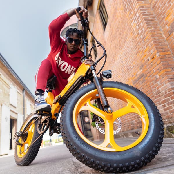 MIHOGO NX Softtail Elcykel, 750W motor, Shimano 7-gear, 12,8AH batteri, app-styring, foldbar stel i magnesiumlegering