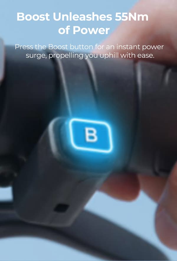 Engwe EP-2 Boost hopfällbar elcykel för vuxna, 250W motor, 48V 13AH batteri, 20''*4'' cykel med tjocka däck
