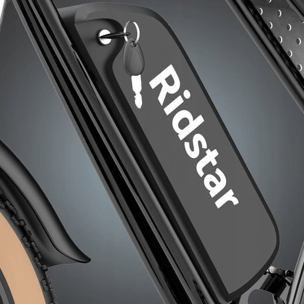 Ridstar Q20-LUXE Elfordon 1500W 48V 20Ah 55KM/H Olje-broms
