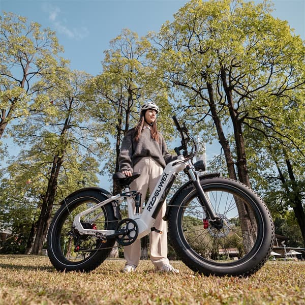 Elektrisk mountainbike RZOGUWEX S7, 48V 25AH batteri, 1000W motor, 26" tykke dæk, grå