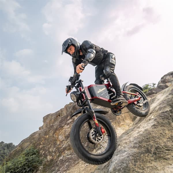 Elcykel RZOGUWEX X7, 20 tommer 160NM dobbeltmotor, 48V 30AH batteri, offroad