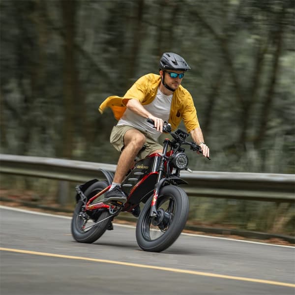 Elcykel RZOGUWEX X7, 20 tommer 160NM dobbeltmotor, 48V 30AH batteri, offroad