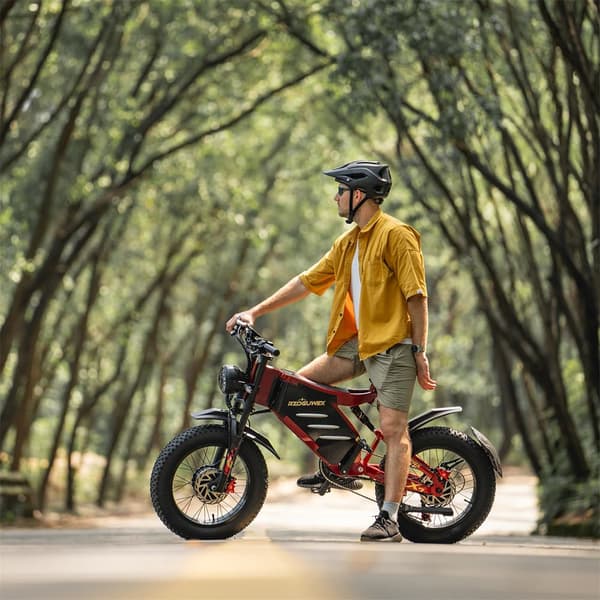 Elcykel RZOGUWEX X7, 20 tommer 160NM dobbeltmotor, 48V 30AH batteri, offroad