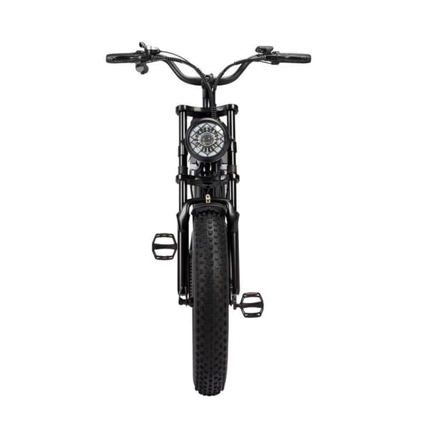 Ridstar Q20 mini elcykel 1000W, 48V 15Ah batteri, 20"*4.0 fettdäck, max räckvidd 80 km, Shimano 7-växlad,stötdämpare framgaffel