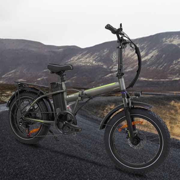 Baolujie DZ2031 Elcykel Med 48V 13ah Batteri, 750W 70km Räckvidd, 20 Tums aAuminiumhjul,Vuxen Elcykel "grå