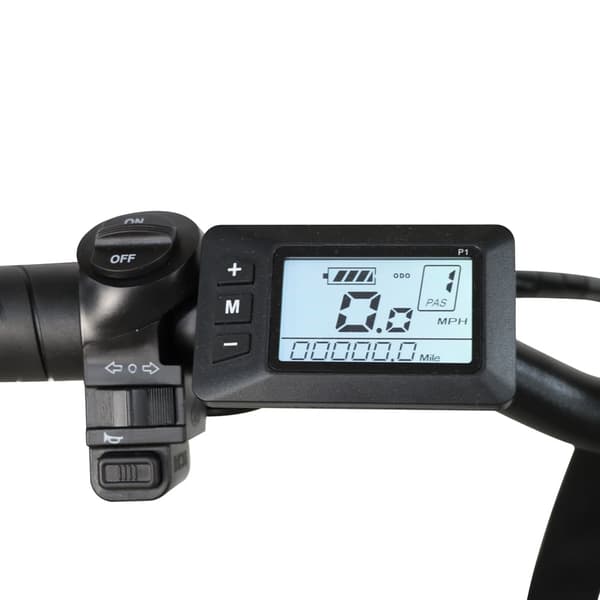 Baolujie DZ2031 Elcykel Med 48V 13ah Batteri, 750W 70km Räckvidd, 20 Tums aAuminiumhjul,Vuxen Elcykel