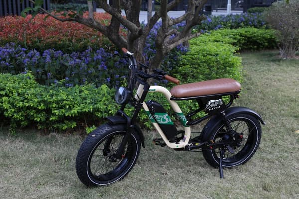 ONESPORT W66 500W motor, 13,5AH batteri, 20*4,0 tum däck, 100 km räckvidd, 25 km/h hastighet, elcykel