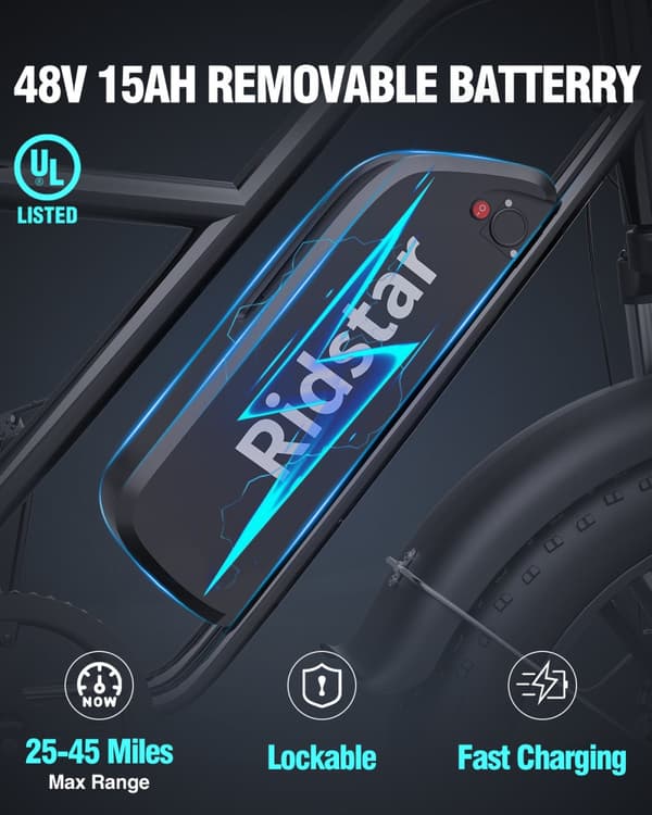 Elcykel RIDSTAR FM001, 2 sæder, 20", 1000W motor, 48V 15Ah batteri, tykke dæk