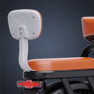 Elcykel RIDSTAR FM001, 2 sæder, 20", 1000W motor, 48V 15Ah batteri, tykke dæk