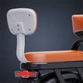 Miniatyrbillede 9 af 11: Elcykel RIDSTAR FM001, 2 sæder, 20", 1000W motor, 48V 15Ah batteri, tykke dæk