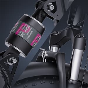 Elcykel RIDSTAR FM001, 2 sæder, 20", 1000W motor, 48V 15Ah batteri, tykke dæk