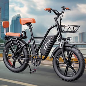 Elcykel RIDSTAR FM001, 2 sæder, 20", 1000W motor, 48V 15Ah batteri, tykke dæk