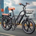 Miniatyrbillede 11 af 11: Elcykel RIDSTAR FM001, 2 sæder, 20", 1000W motor, 48V 15Ah batteri, tykke dæk